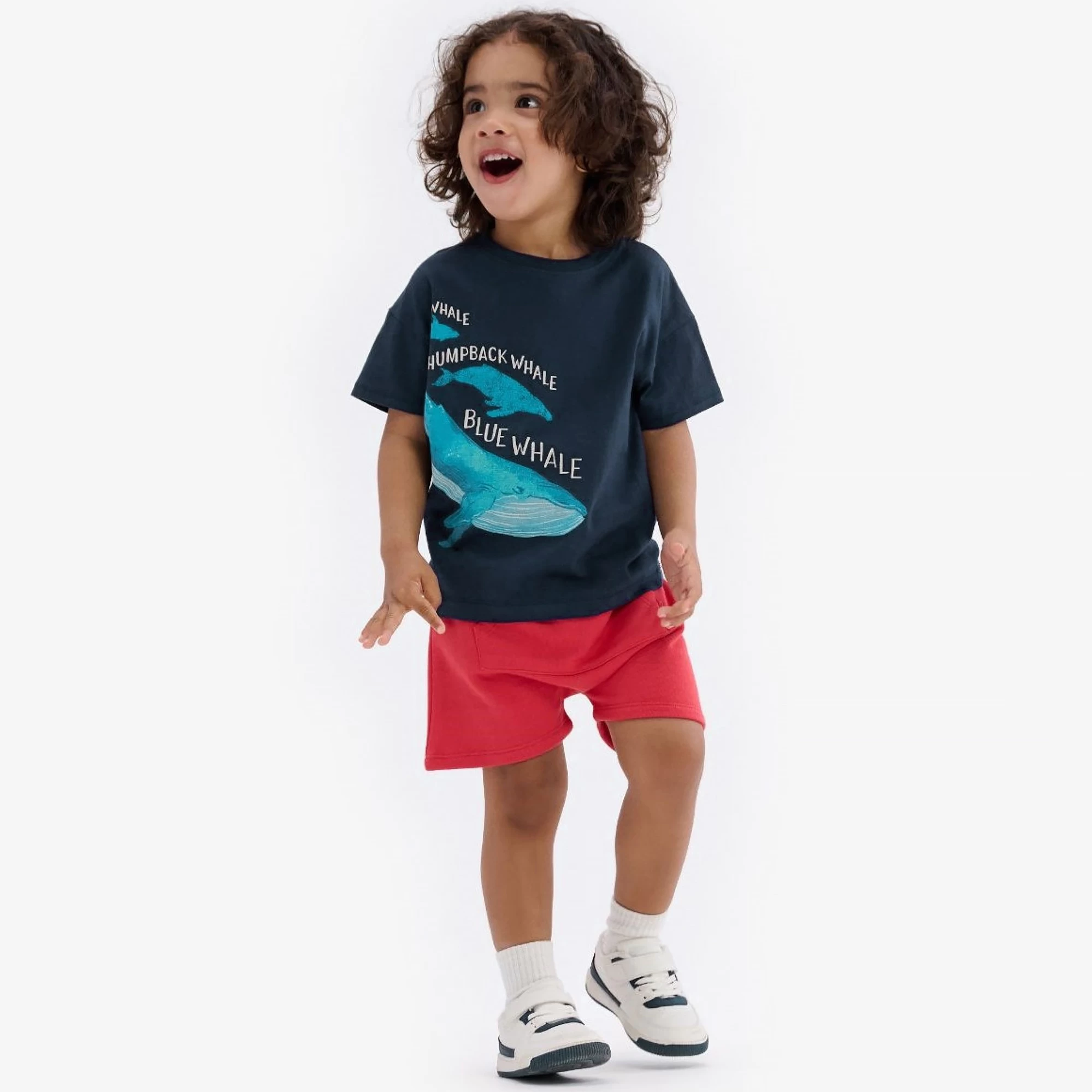 Hatley Boys Navy Blue Graphic T-Shirt 4 Hatley Boys Navy Blue Graphic T-Shirt - Image 2